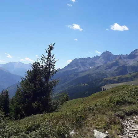 Cerise Vaujany