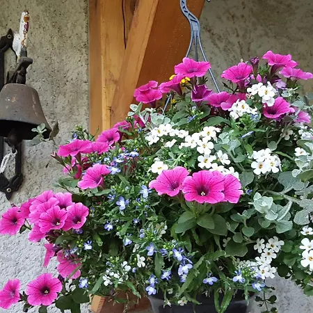 Cerise Appartamento